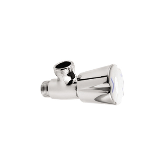 قو دیواری کاستا